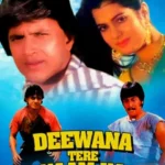 Ослепленные любовью (Deewana Tere Naam Ka)